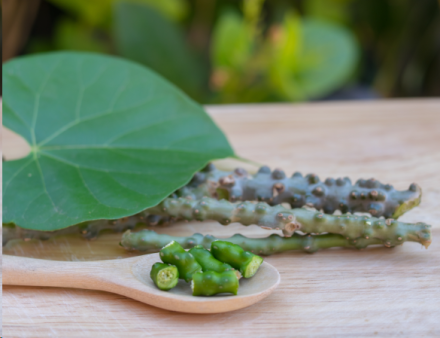 Unpredictable Benefits of Guduchi for Diabetes Treatment