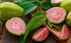 12 Natural Health Benefits of Guava Leaves for Diabetes Treatments