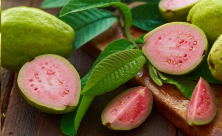 12 Natural Health Benefits of Guava Leaves for Diabetes Treatments