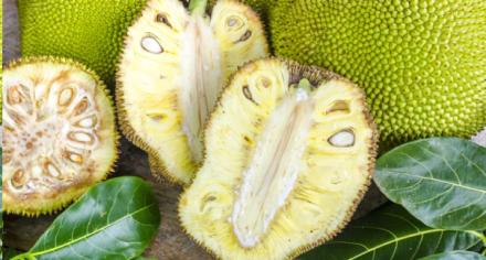 16 Remarkable Benefits of Jackfruit for Diabetes Management