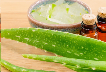 6 Proven Health Benefits of Aloe Vera Juice for Managing Diabetes