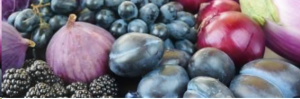 Incredible Health Benefits of Lexoton You Should Know