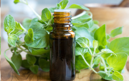 4 Amazing Health Benefits of Oregano Oil for Flu