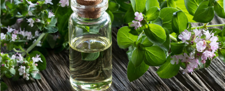 4 Incredible Health Benefits of Oregano Oil for the Flu