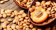 Surprising Benefits of Apricot Seeds for Cancer Treatment