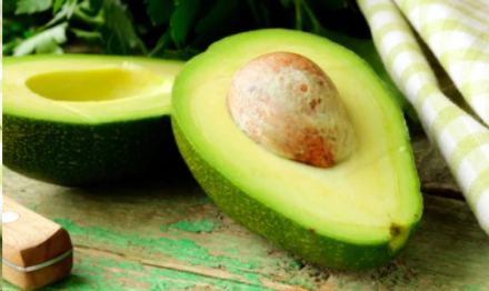 Benefits of Avocado Leaves for Cancer Prevention and Treatment