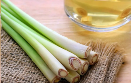 12 Proven Benefits of Lemongrass for Curing Insomnia