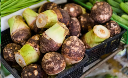 Benefits of Taro Root for Cancer – A Powerful Source of Antioxidants