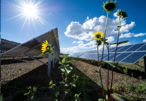 Advantages of Utilizing Natural Gas as an Energy Source