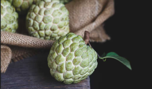 15 Excellent Health Benefits of Jamaican Star Apple for the Immune System